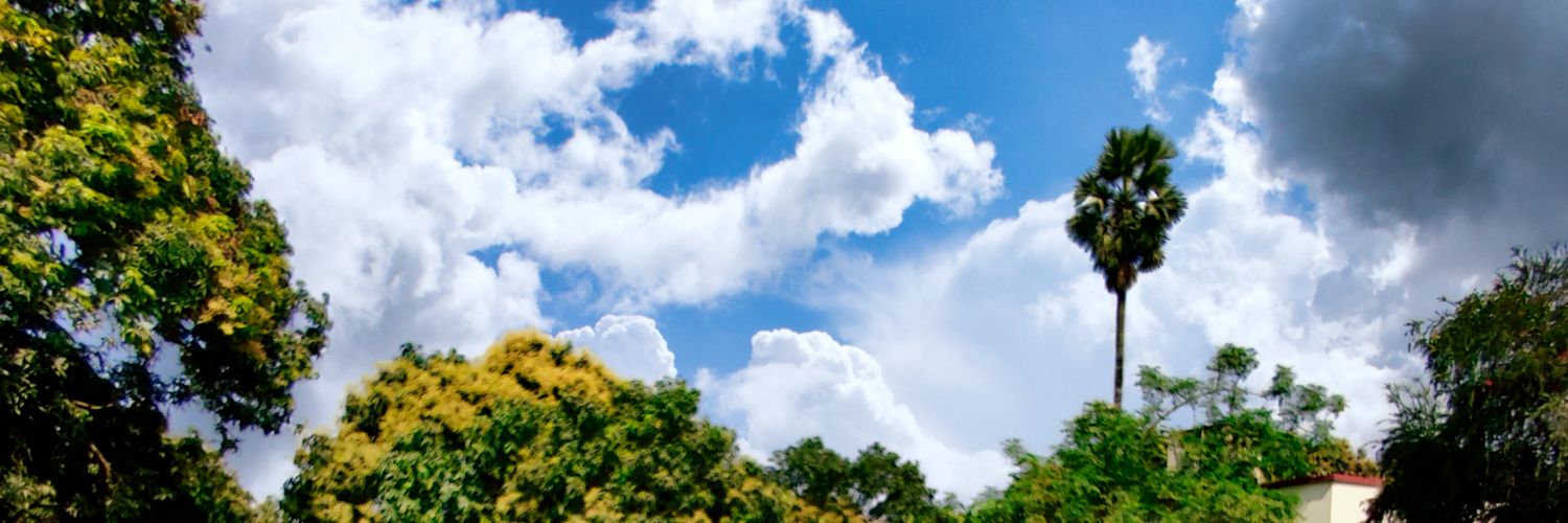 sbis1981's profile banner image