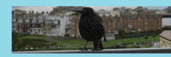 AmandaChemist Profile Banner