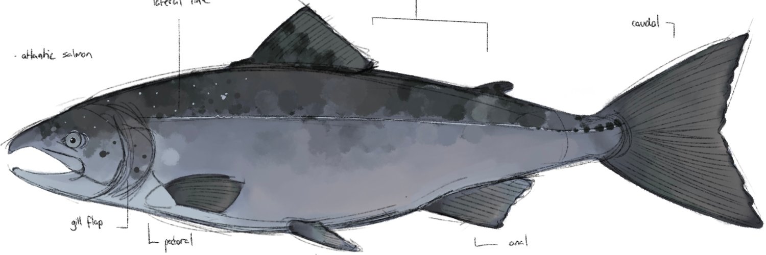 evil koi banner