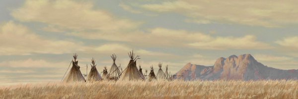 calxaurum Profile Banner