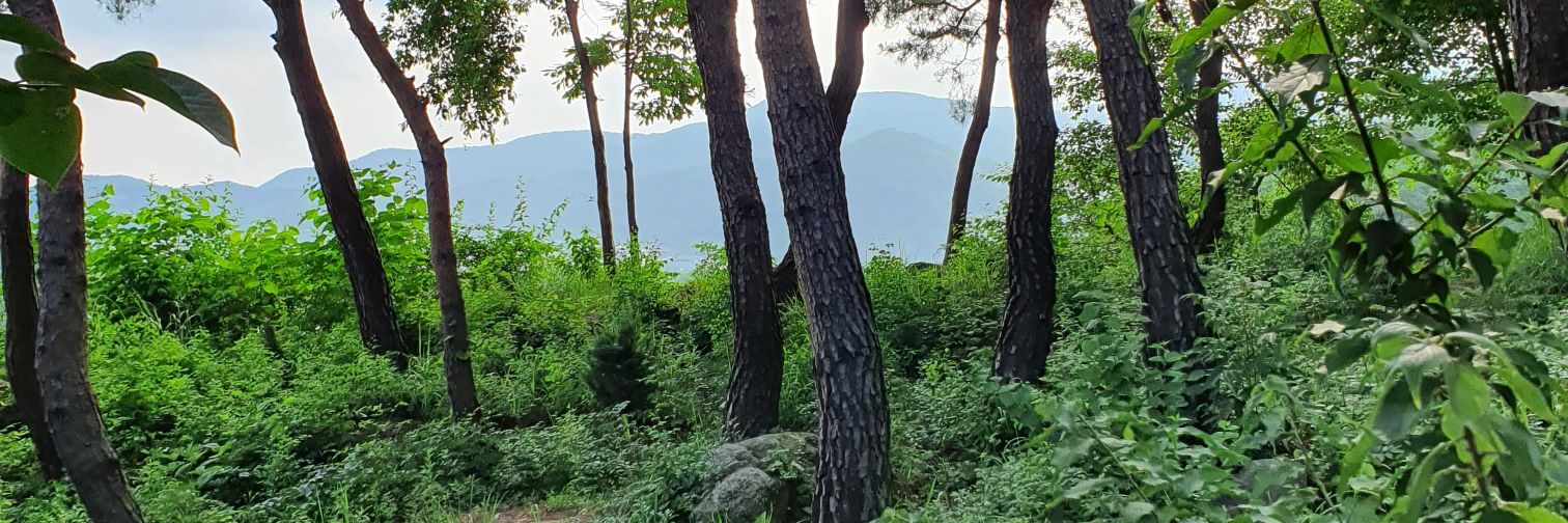 Byeolmuri's profile banner image