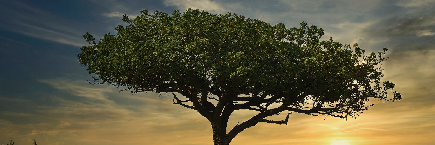 Mizo1974's profile banner image