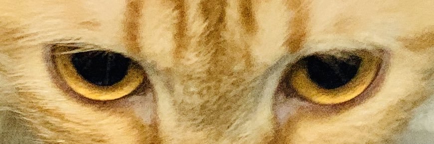 afarhanjohan's profile banner image