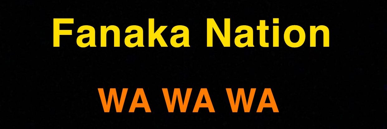 Fanaka Ndege banner