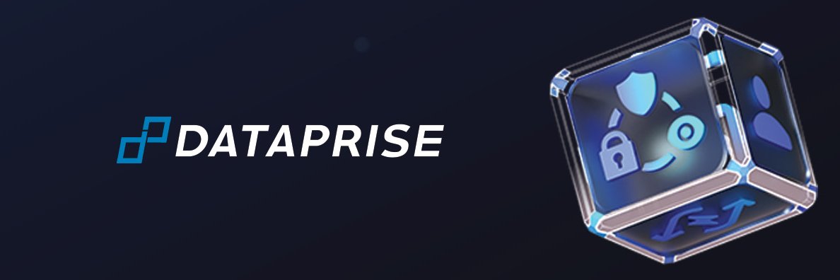 Dataprise banner