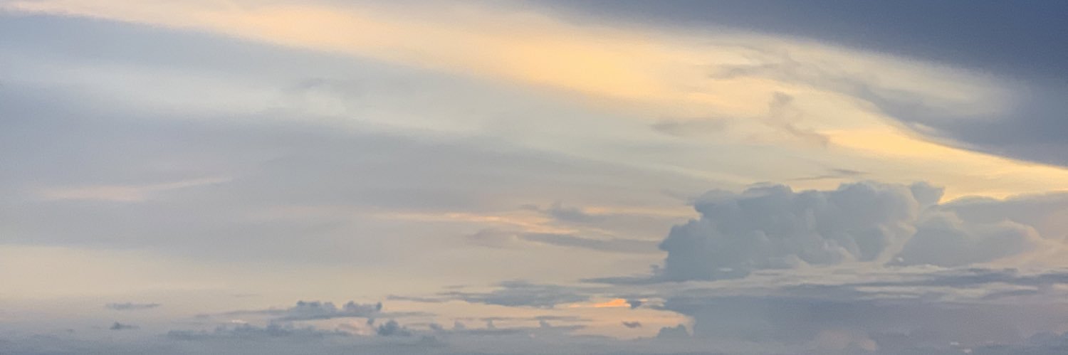 mainnree's profile banner image