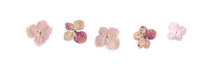 S. banner