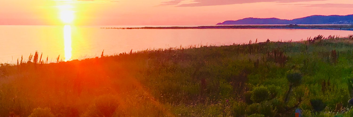 Progressum's profile banner image