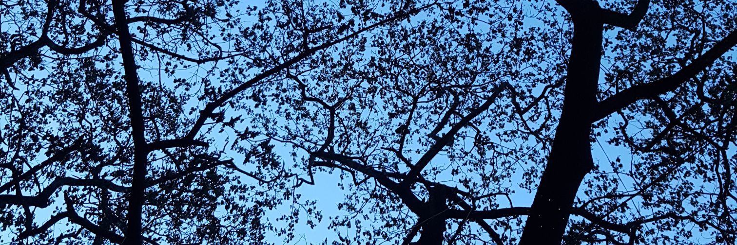 kimberloooooooo's profile banner image