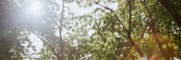 Trueshape_pic Profile Banner