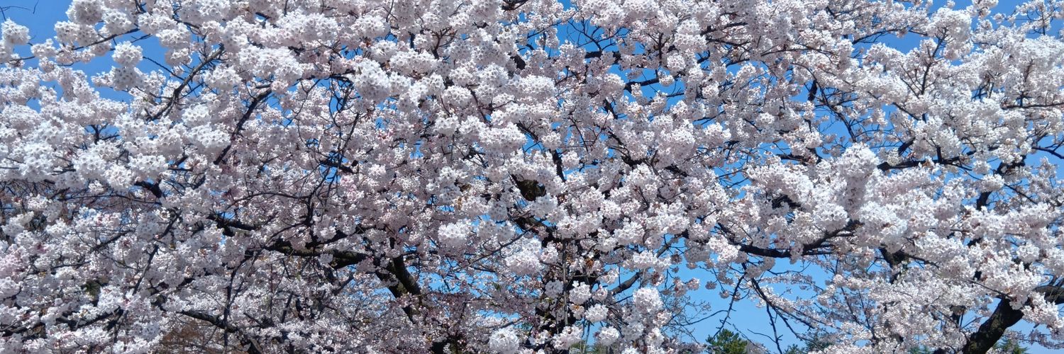 902746's profile banner image