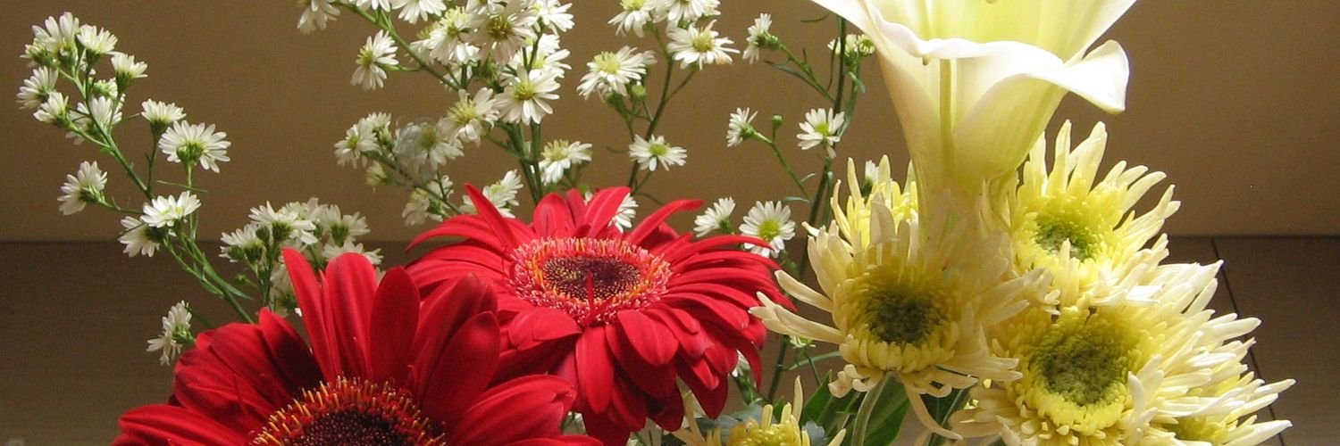 ℒaᥴꫝs²⁵ 🎀🫧🧸 (free tag) banner