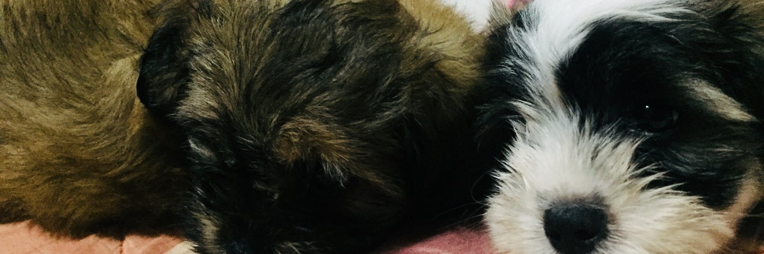 Barbssshh's profile banner image