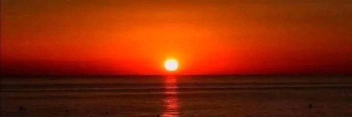rexpositos91534's profile banner image
