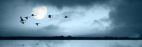 nadish Profile Banner