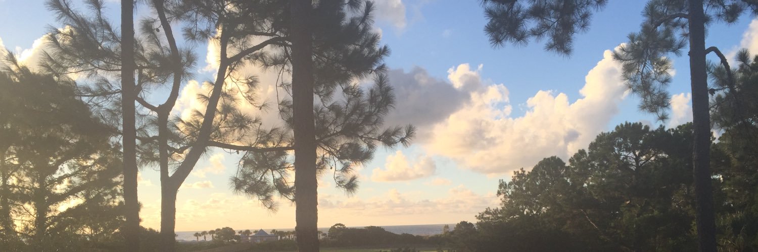 NataleeLYoung's profile banner image