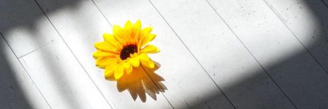 mixplan's profile banner image