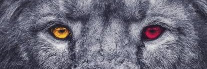 essqo's profile banner image