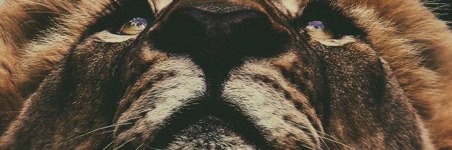 Alvaro_diosas's profile banner image