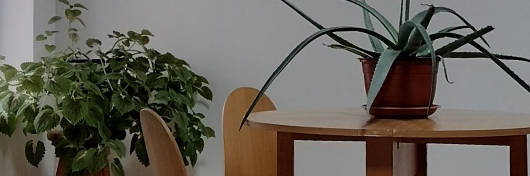 LMG296's profile banner image