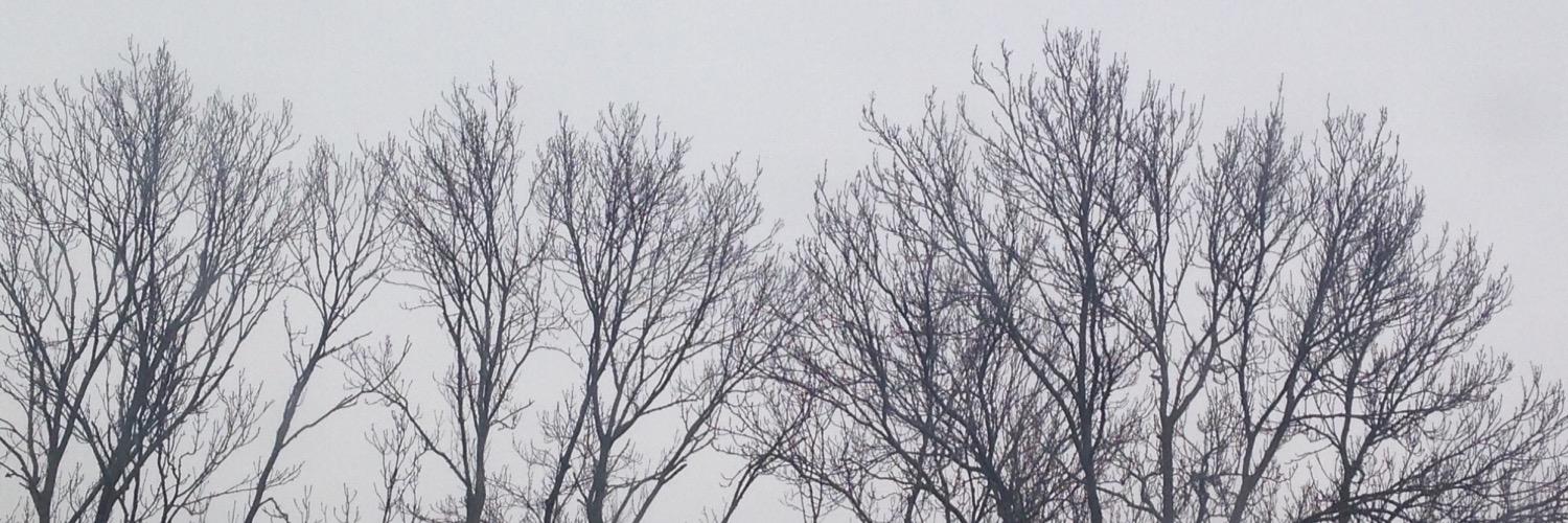 __JSx's profile banner image