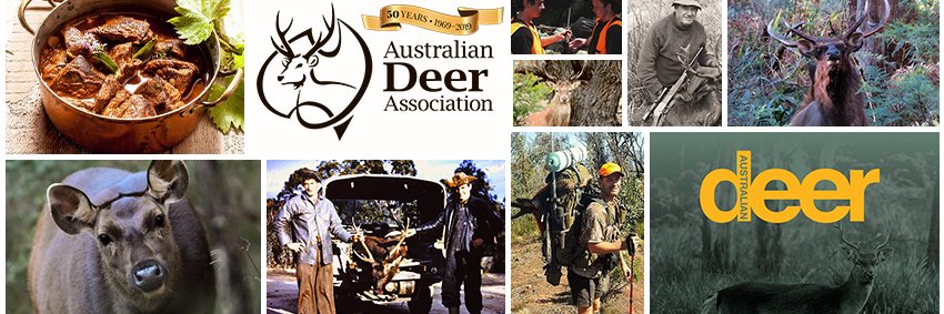 ADADeerPeople's profile banner image