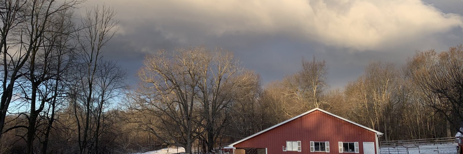 OnlyoneNicky's profile banner image
