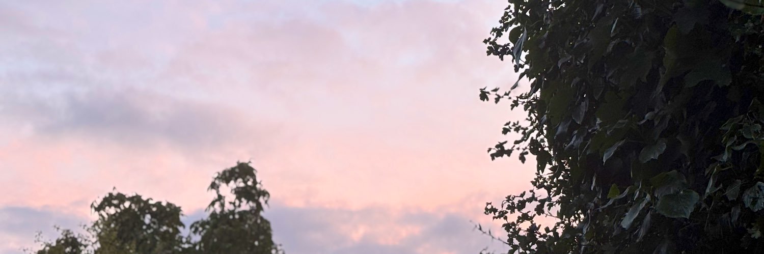 latenightbelle's profile banner image