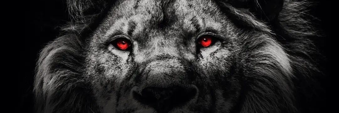 Chigerian💯❤️ banner