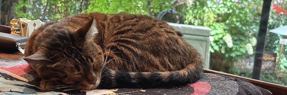 Ⓡ【荒野垢販売 荒野垢買取】 banner