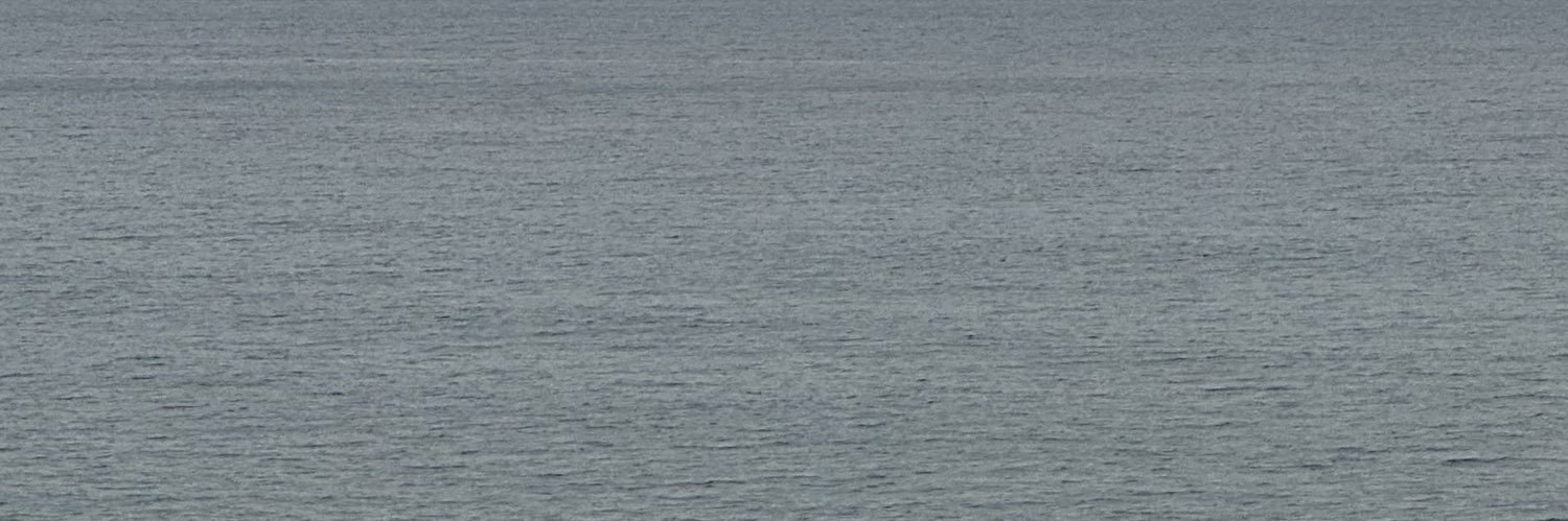 、ʝinԃ ◞ banner