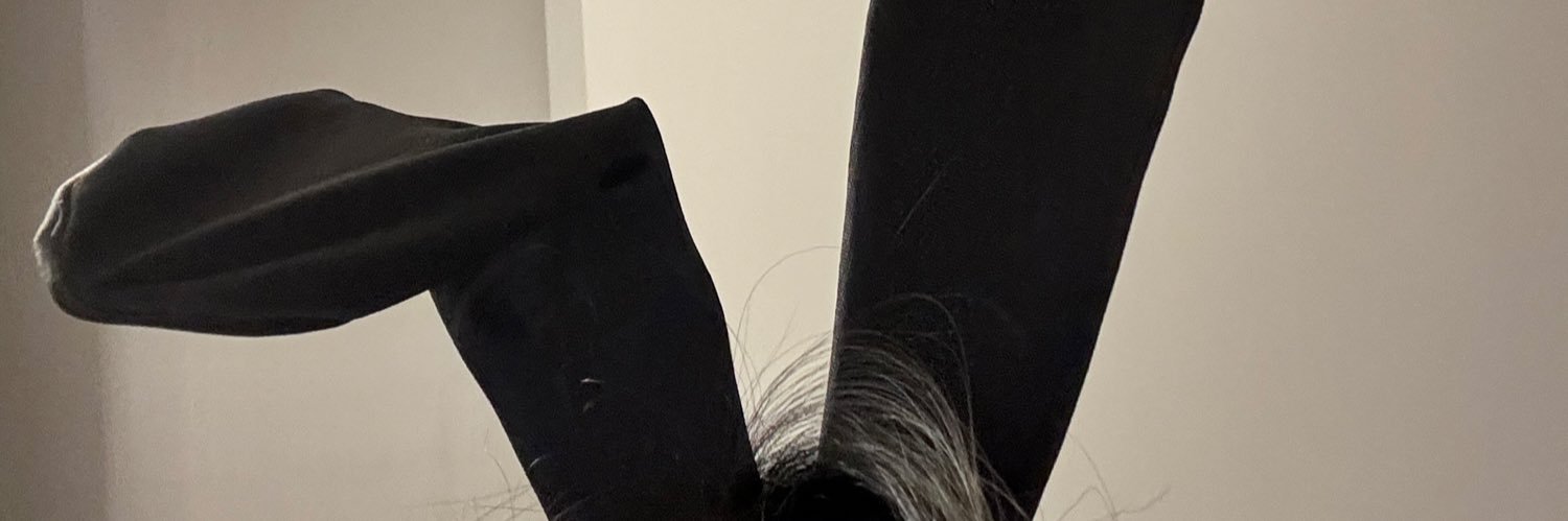 Echoly0523's profile banner image