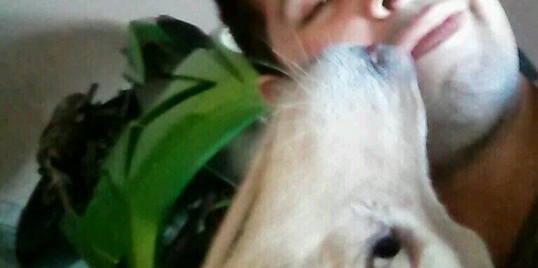VyktorBullet's profile banner image
