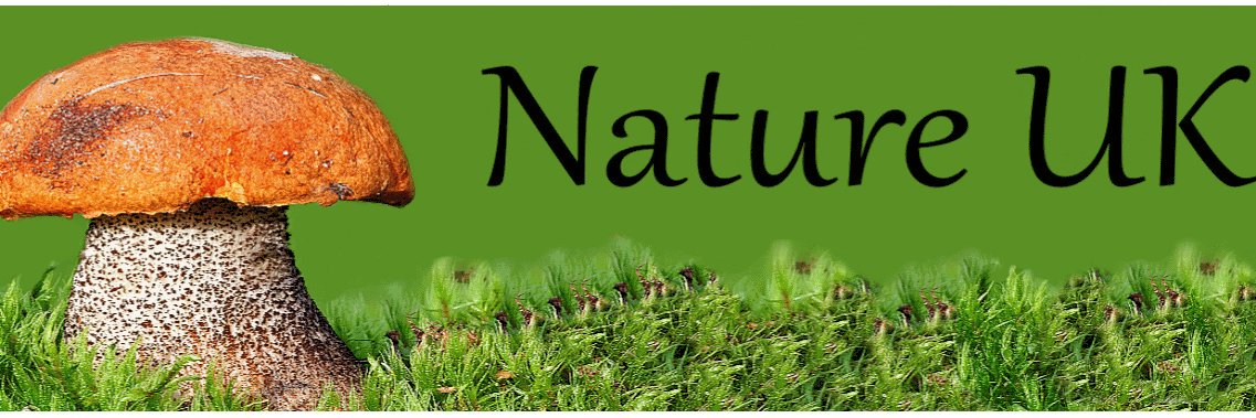 NatureUK banner