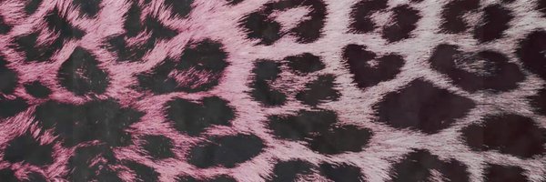 fablyns Profile Banner