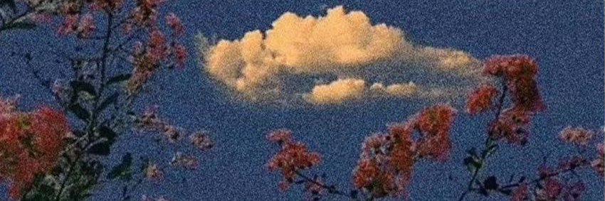 sillyyswilly's profile banner image