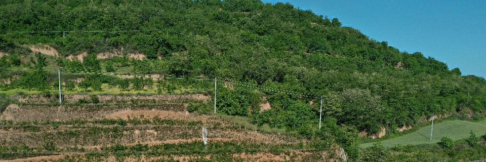 蚂蚁-互关-Merlin🔮🧙 banner