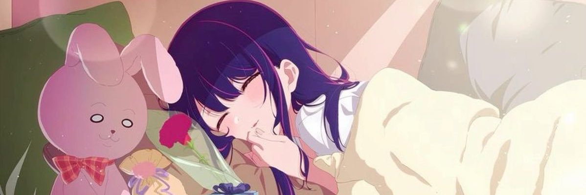 FnfNisa's profile banner image