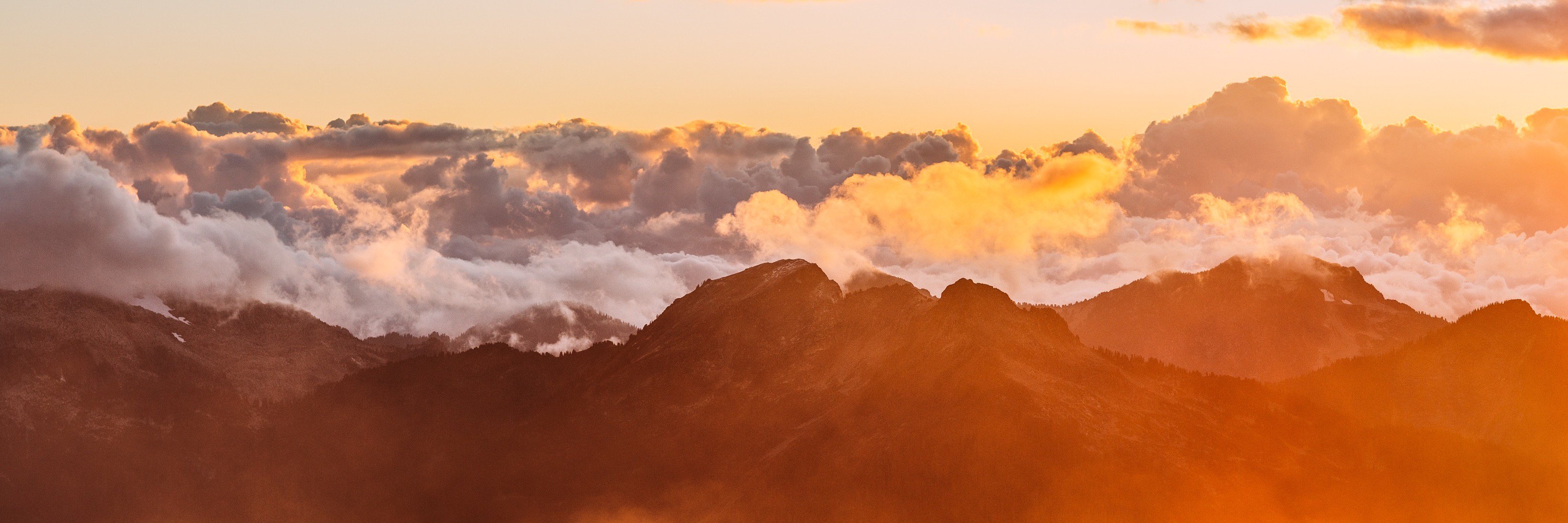 Krishan Meetoo banner