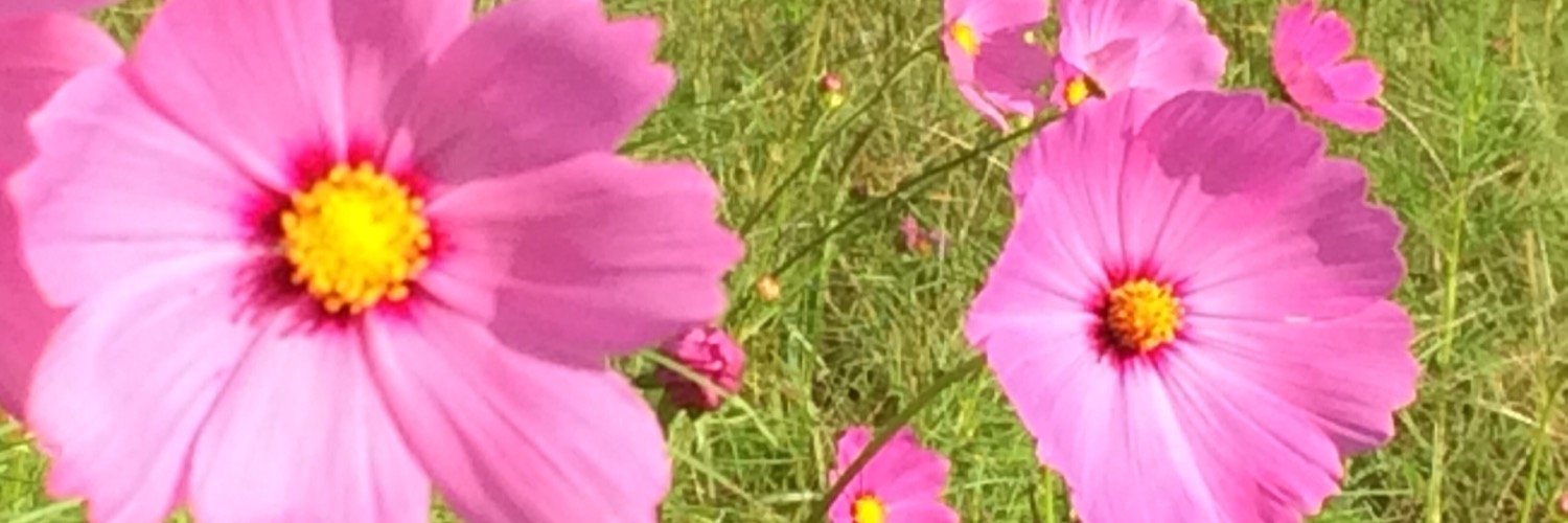 rei_56's profile banner image