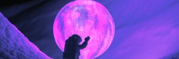 Tanzim Al Araf banner