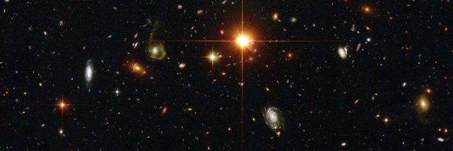 alien cat 🌊💙🧢🐱🐶🦝 banner