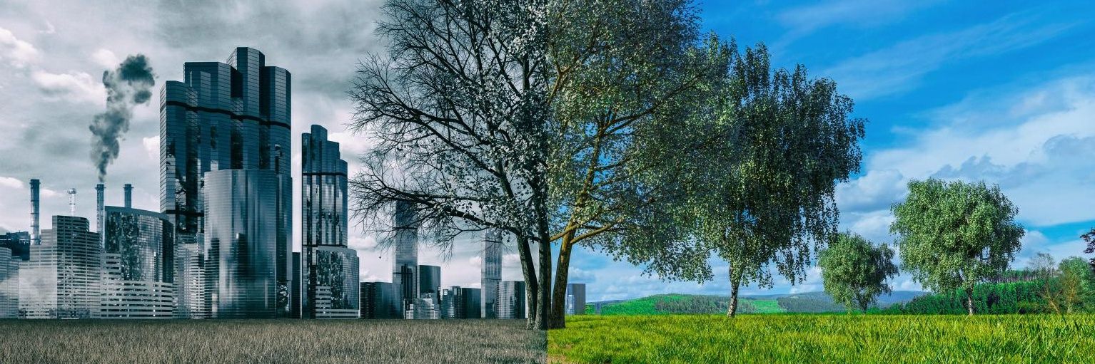 Patrick Beekman banner