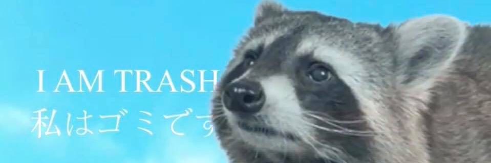 hopeisbeastt's profile banner image
