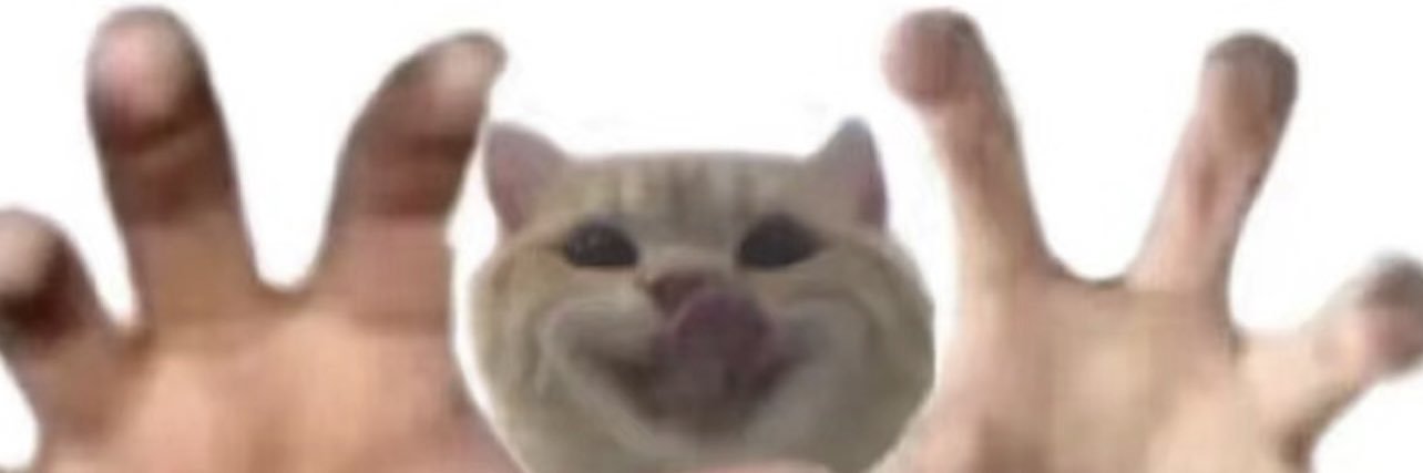 SilverMoonYY's profile banner image