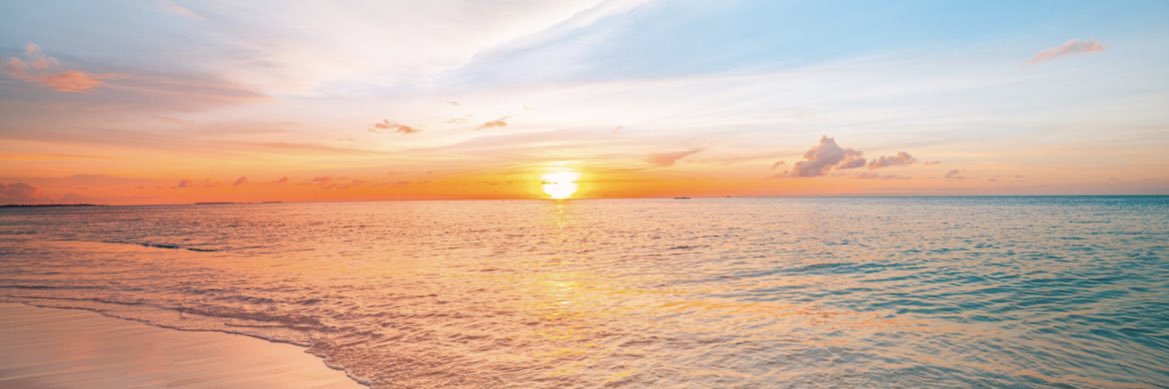 bao0727's profile banner image