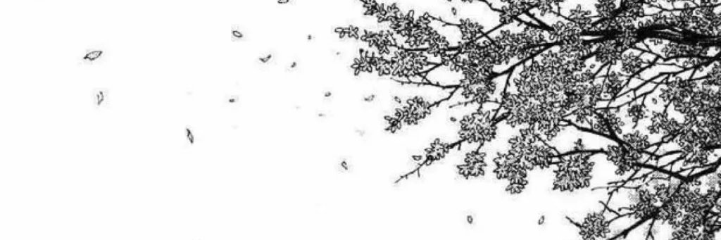 YoGravy's profile banner image