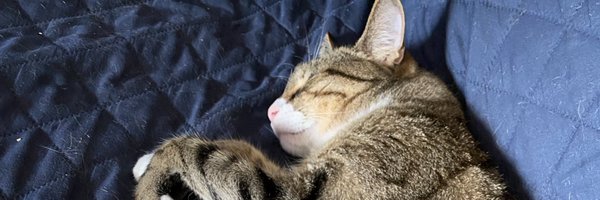 NickNavarro87 Profile Banner