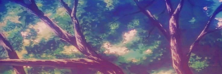 —— 𝑴𝑺. 𝑷𝑳𝑨𝑵𝑻𝑨𝑺𝑻𝑰𝑪 . 🌿 banner