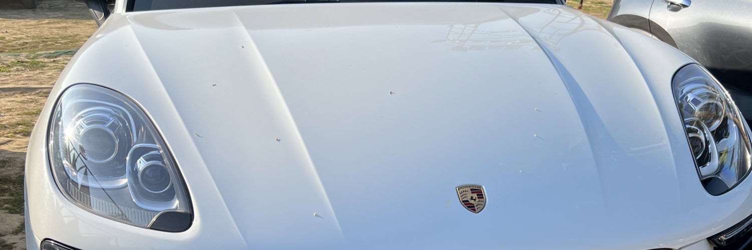 dilboy's profile banner image